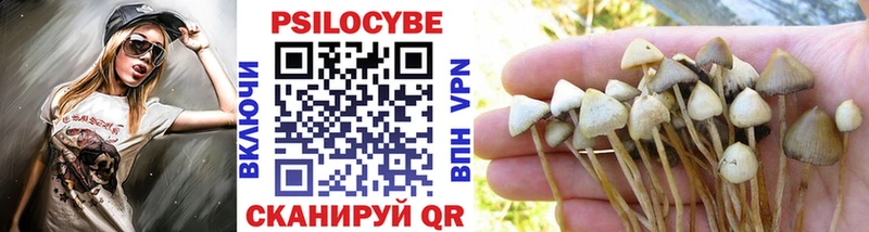 Купить где Володарск Псилоцибиновые грибы прущие грибы
